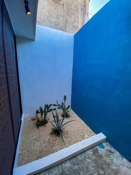Вилла Modern Casa With Pool 7 Mins From Centro 5Min La Plancha Park Мерида Экстерьер фото